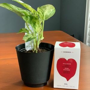Brand new in Box- Korres Wild Rose Brightening Oil